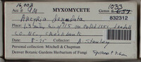 Image Associated With the Occurence